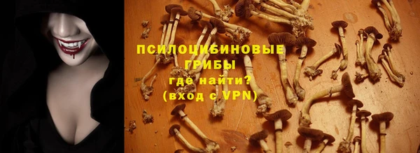 прущий лед Алексеевка
