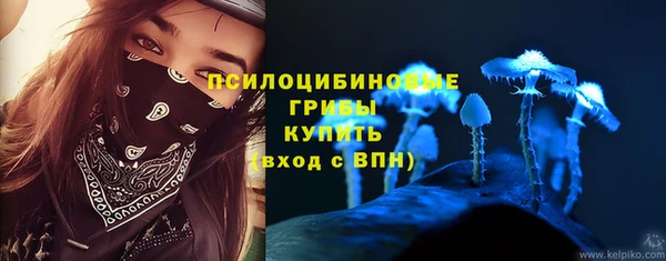 прущий лед Алексеевка