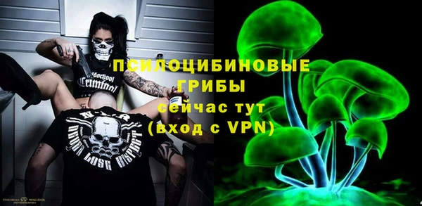 прущий лед Алексеевка