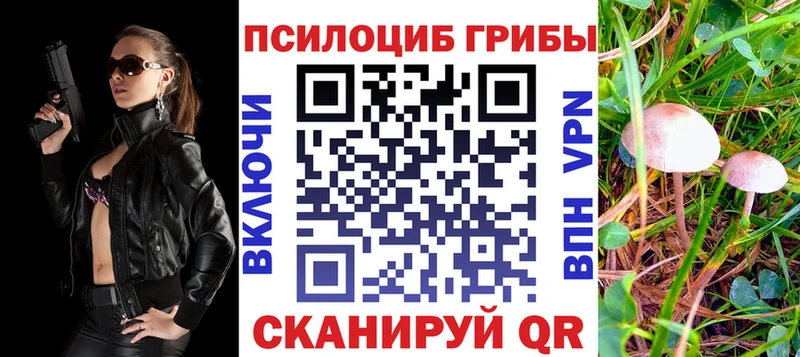 как найти Карасук Галлюциногенные грибы MAGIC MUSHROOMS