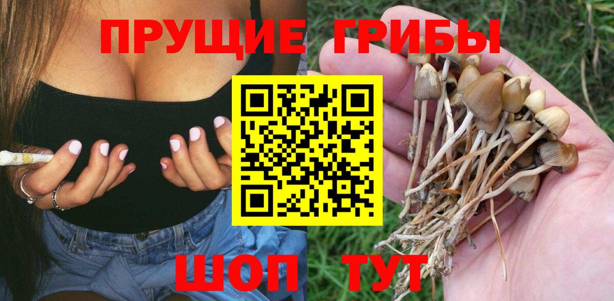 Карасук  Псилоцибиновые грибы Magic Shrooms  Галлюциногенные грибы Magic Shrooms  Вход с VPN 