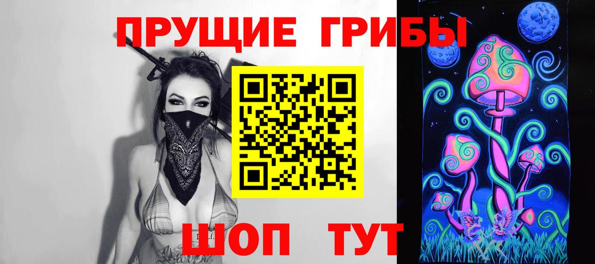 Псилоцибиновые грибы Psilocybe Карасук